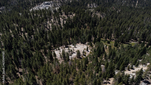 Aerial View of Pine Trees in Sequoia National Forest, Kern County, California