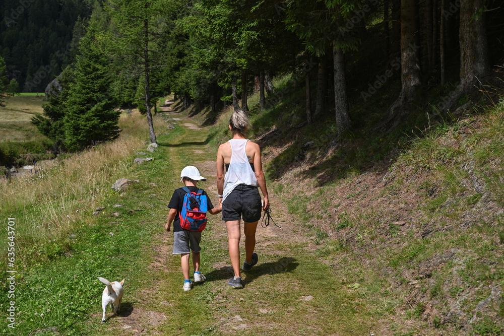 Fototapeta premium passeggiata in montagna 
