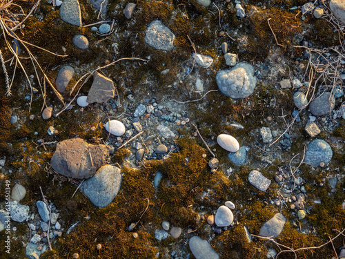 Ground background. Stones, pebbles, earth and moss. What is under your feet. Beach ground.