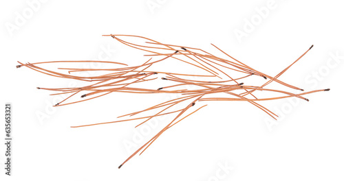 Autumn conifer leaves, needles isolated on white, top view 