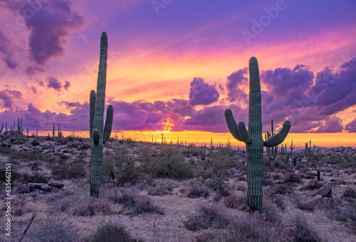 Vibrant Desert Sunset Skies In North Scottsdale Arizona With Cactus