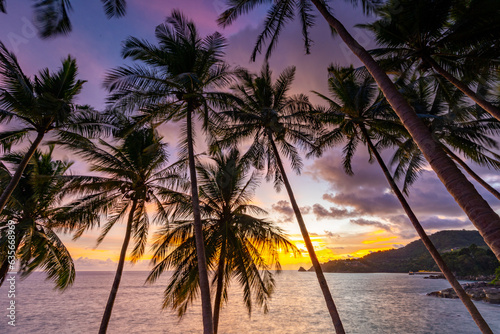 Landscape wide angle view coconut palm trees in sunset or sunrise sky over sea,Beautiful light nature seascape nature background