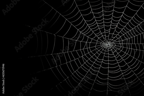 Spider web on black background Generative AI
