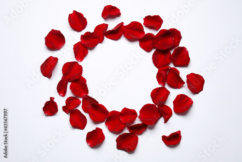 Round frame of beautiful red rose petals on white background, top view. Space for text
