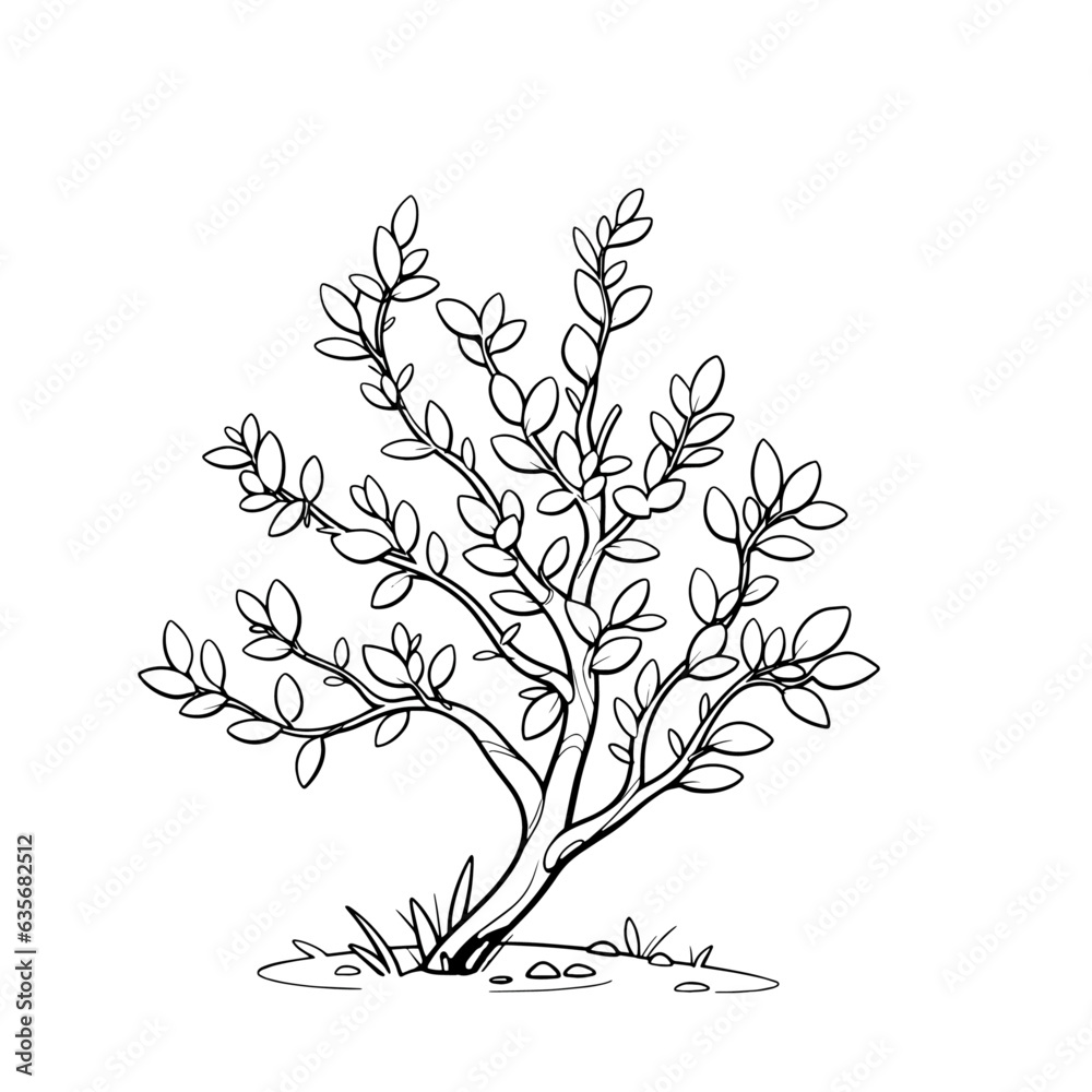 Fototapeta premium Plant