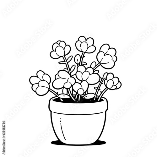 Potted Plant