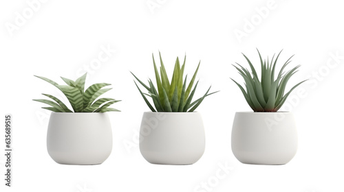 set of plants in ceramic pots isolated on transparent background  realistic.