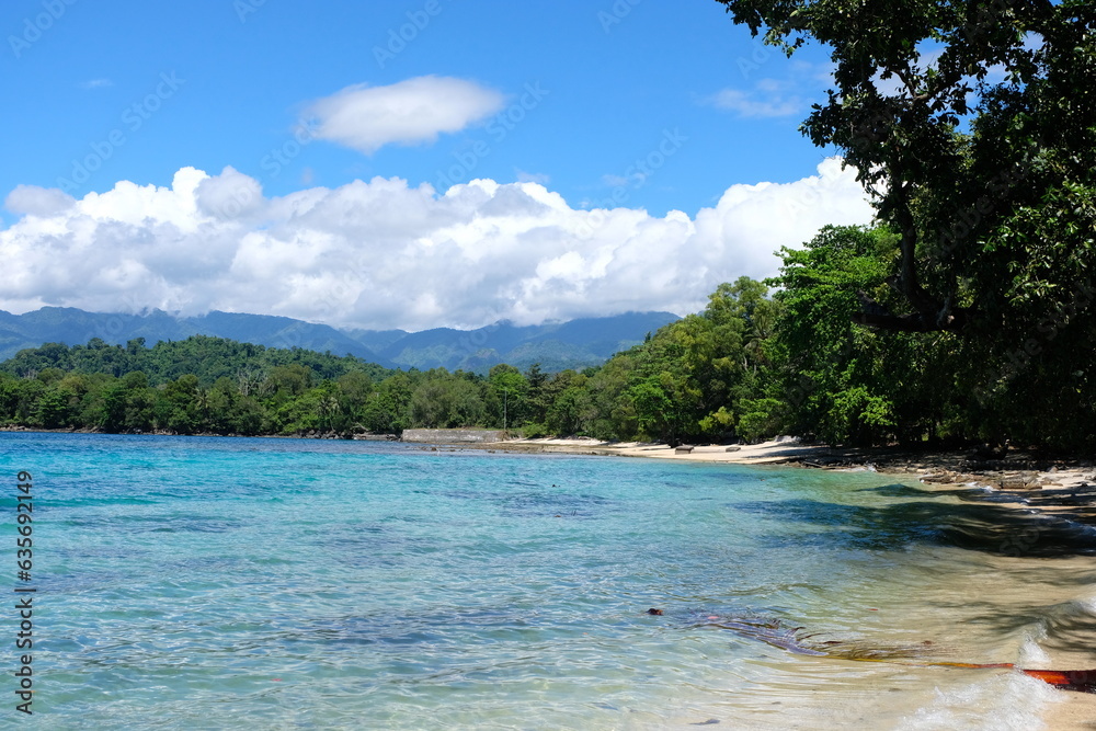 Fototapeta premium Beautiful beach lined by green trees and turquoise blue ocean water on the remote tropical island of Bougainville, Papua New Guinea
