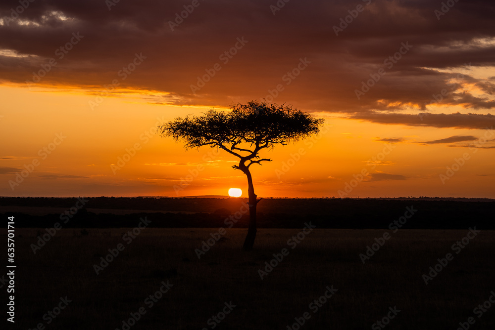 Africa's golden hour sunset