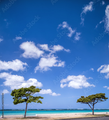 Fototapeta Naklejka Na Ścianę i Meble -  Desert Island View of an Empty Beach with a Fringing Coral Reef.
