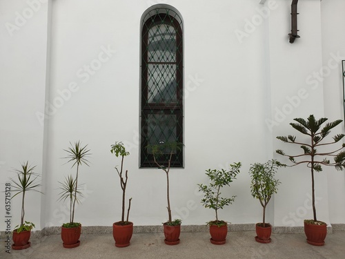 window with flowers