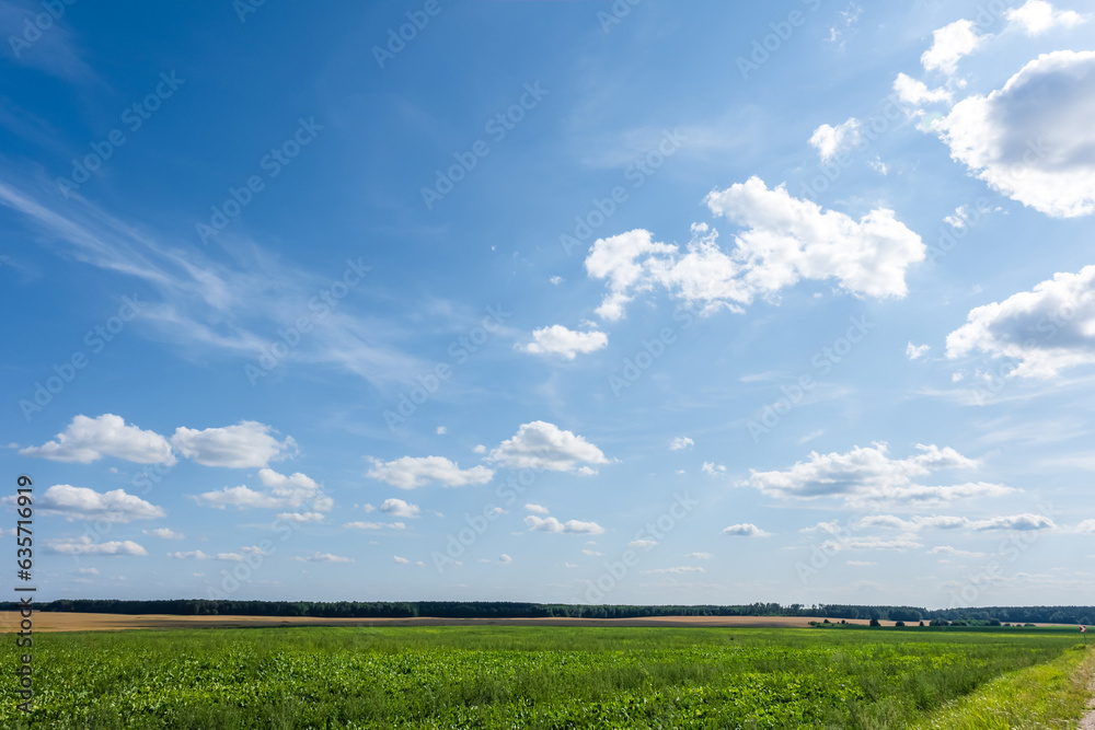blue sky background with white striped clouds in heaven and infinity may use for sky replacement blue sky background with white striped clouds in heaven and infinity may use for sky replacement