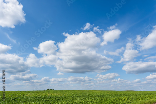 blue sky background with white striped clouds in heaven and infinity may use for sky replacement