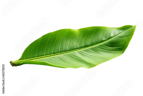 banana leaf Isolated on transparent background  Generative Ai