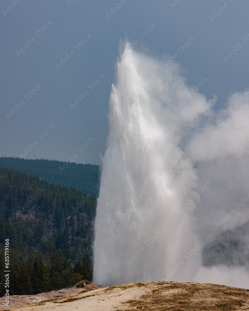 Old Faithful erupting in Yellowstone National Park during spring. 
