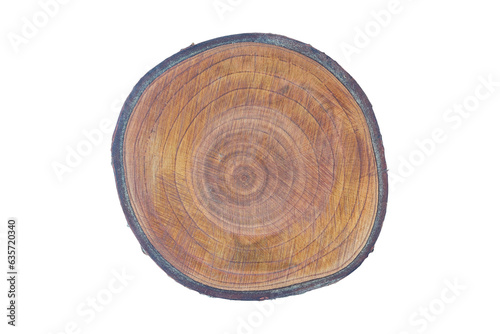 A cut of a tree on a light background. The texture of the tree in the cut.