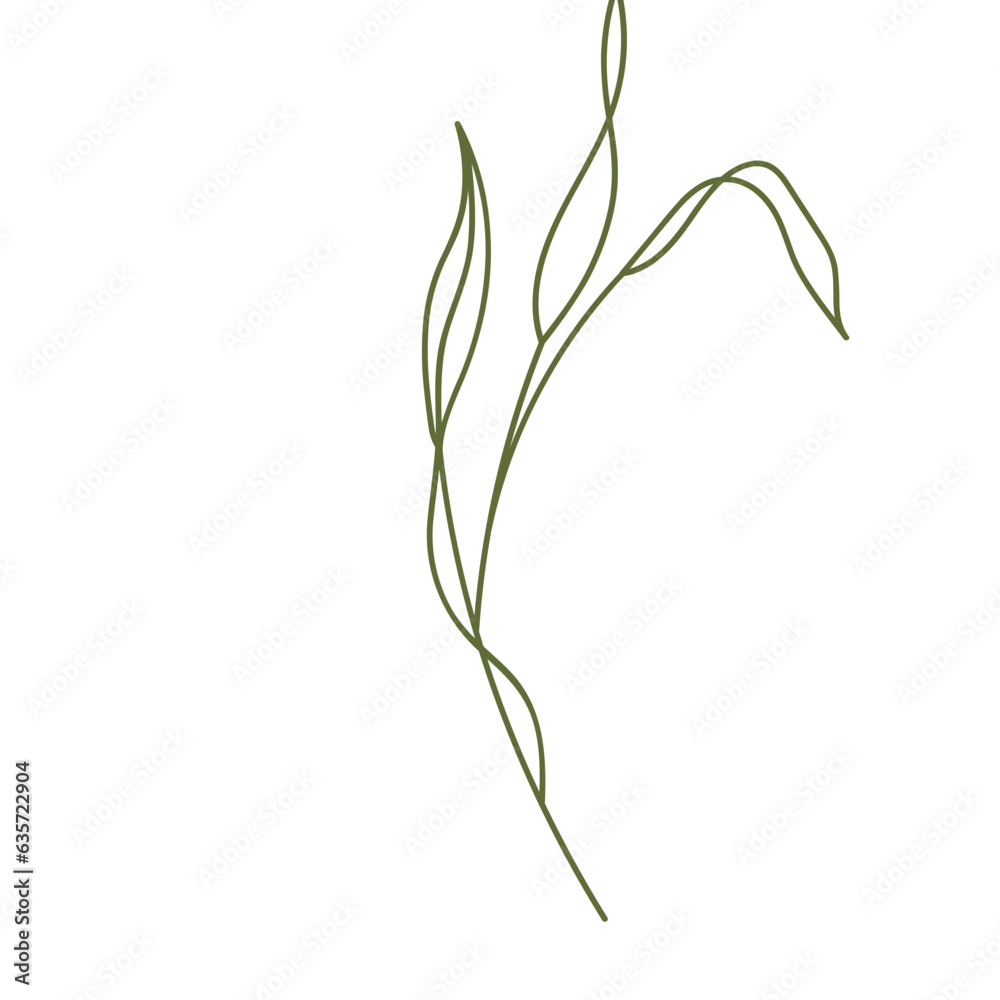 Obraz premium Plant leaves illustration
