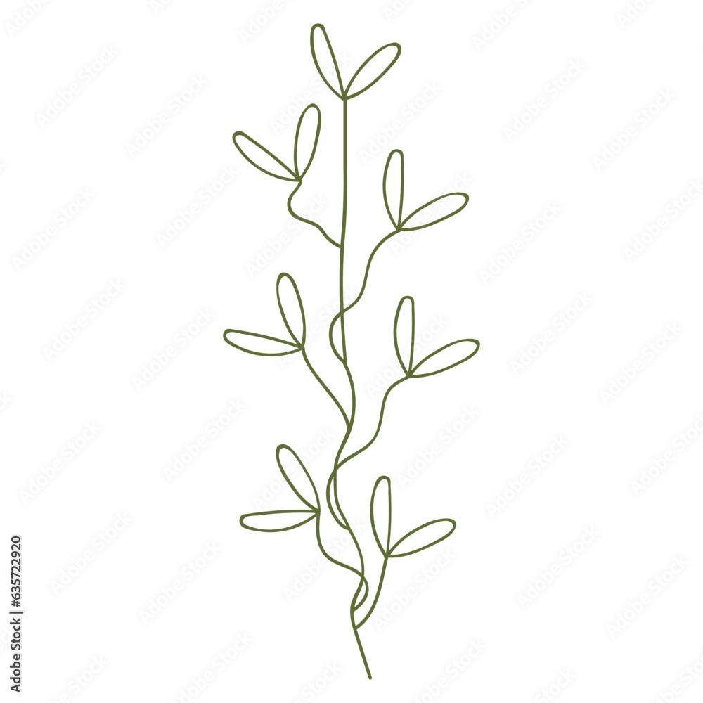 Plant leaves illustration