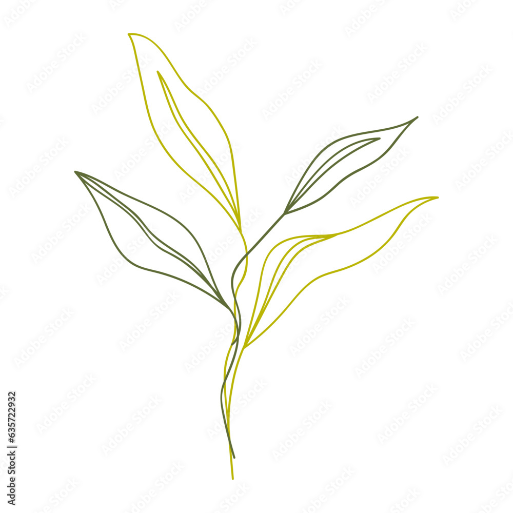 Plant leaves illustration Plant leaves illustration