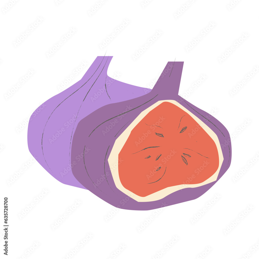 Figs flat illustration Figs flat illustration