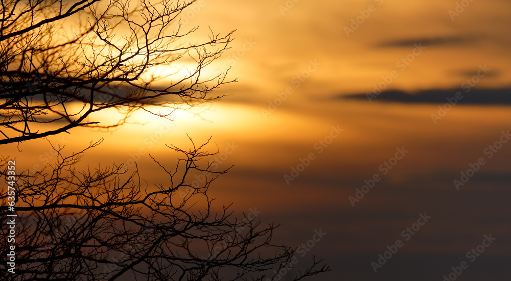 Obraz premium Sonnenuntergang im Winter