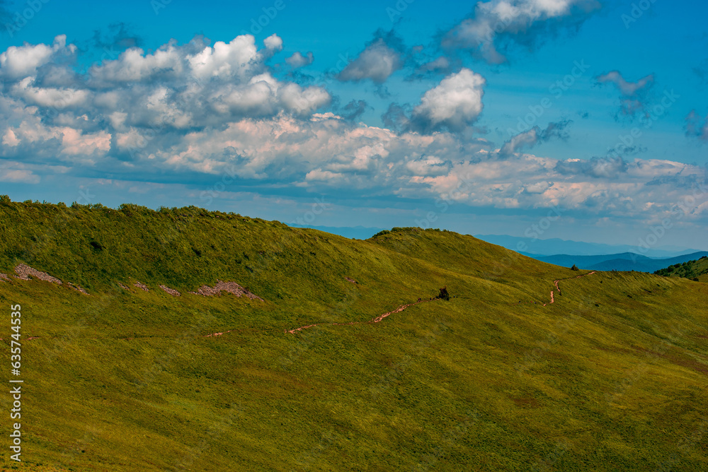 Bieszczady Mountains, sunny day, road on the top of Polonyna
