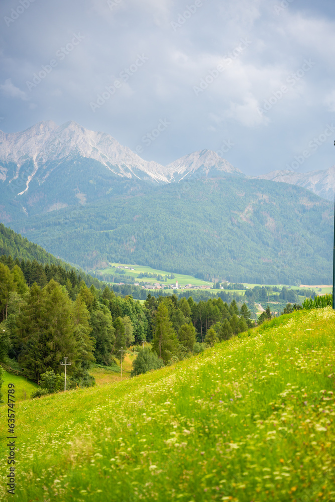 Obraz premium Green meadows with mountains and forest on backgound at sunset in summer, Italy