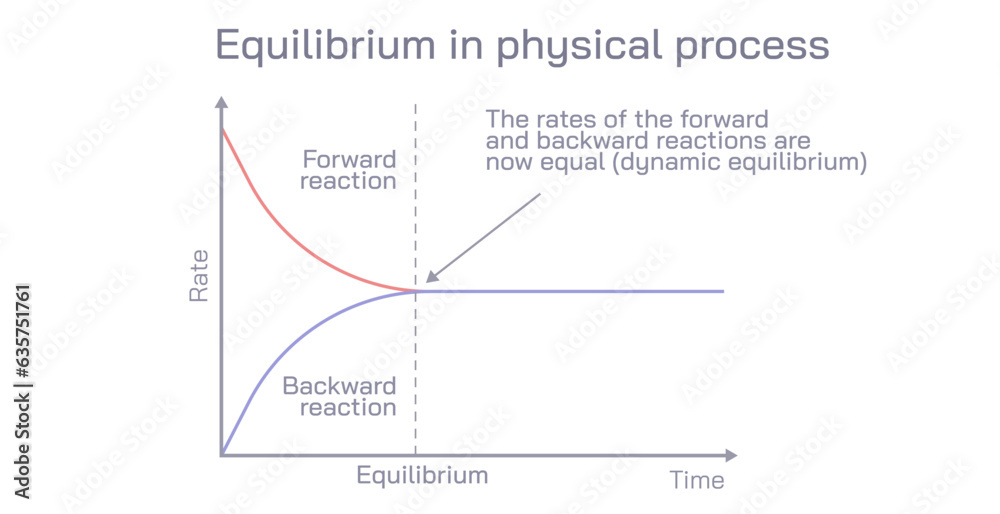 Physical equilibrium is defined as the equilibrium which develops between different phases or physical properties. In this process, there is no change in chemical composition vector.