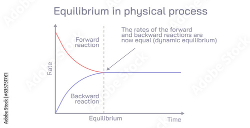 Physical equilibrium is defined as the equilibrium which develops between different phases or physical properties. In this process, there is no change in chemical composition vector.