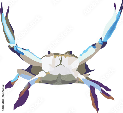 tropical crustacean blue crab aggressive predator-