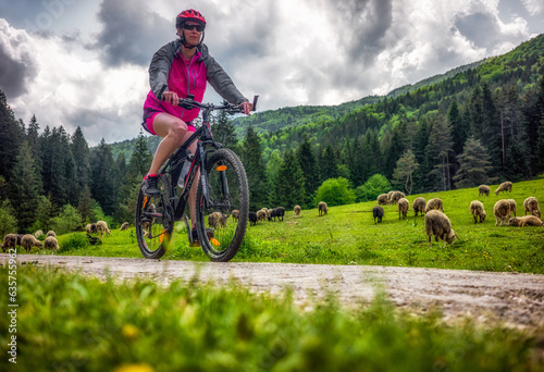 Woman cycling in beautiful nature forest through a flock of sheep