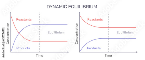 Physical equilibrium is defined as the equilibrium which develops between different phases or physical properties. In this process, there is no change in chemical composition vector.