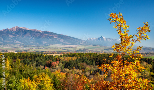 Autumn landscape with colorful trees and high peaks at bacground photo