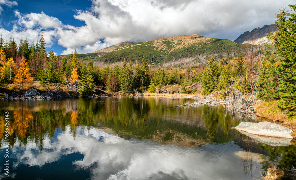 Reflection of coniferous trees and  clouds on a surface of the water. Tarn Rakytovske pliesko in High Tatras mountains in Slovakia