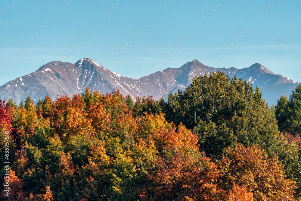 Φωτογραφία Colorful autumn trees and top of the peaks of Western Tatras at background