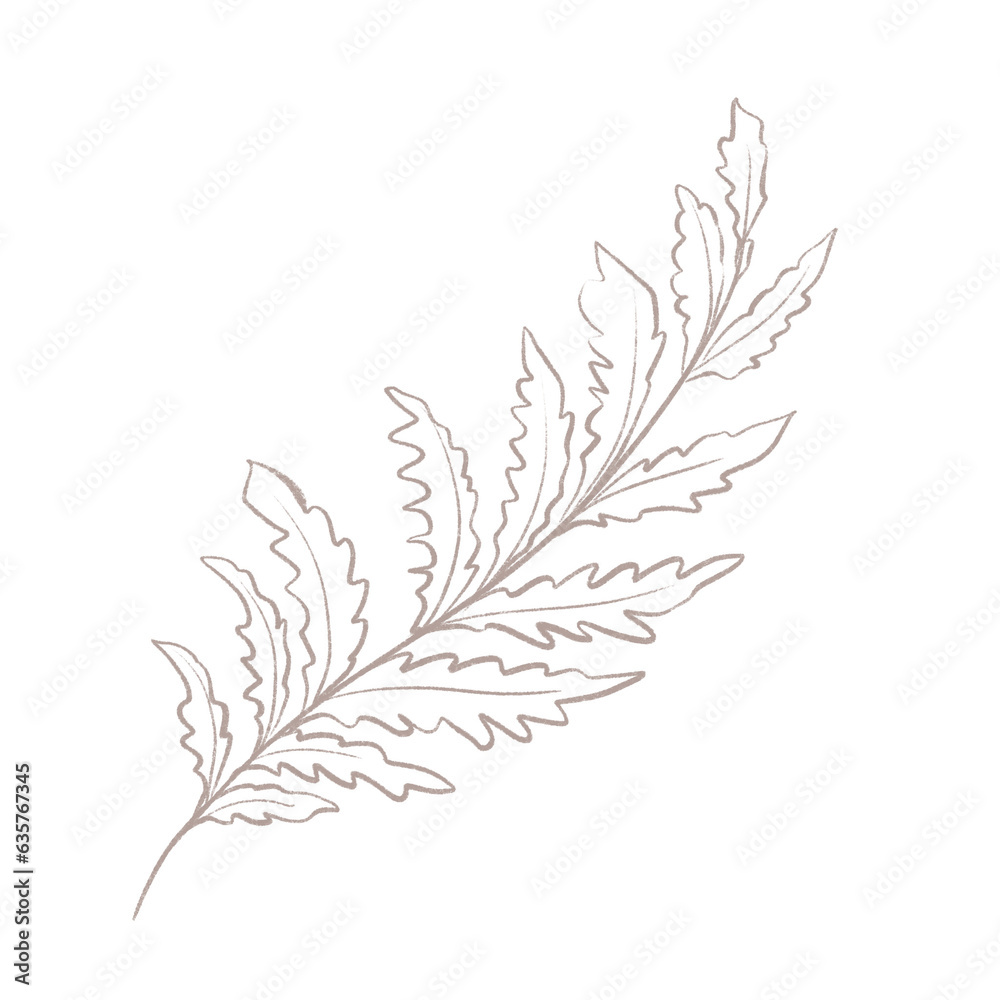 Line art botanical element. Line art branch. Line art botanical element. Line art branch.