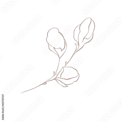 Line art botanical element. Line art wildflower illustration. Elegant flower