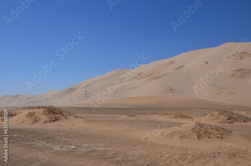 landscape in the desert