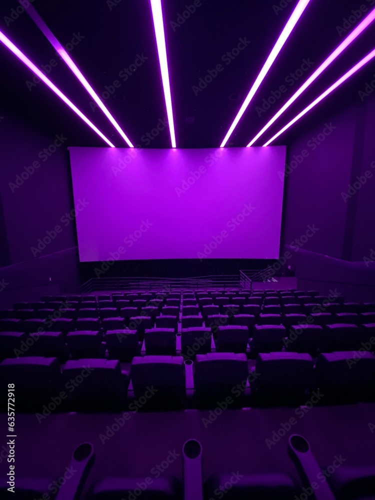 Empty cinema. Empty movie theatre. Modern movies theater for festivals ...