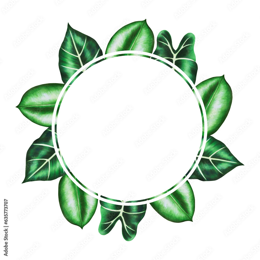 Watercolor frame and logo with realistic tropical leafs. Illustration of monstera, caladium, alocasia ficus leafs isolated on white background. Beautiful botanical hand pai