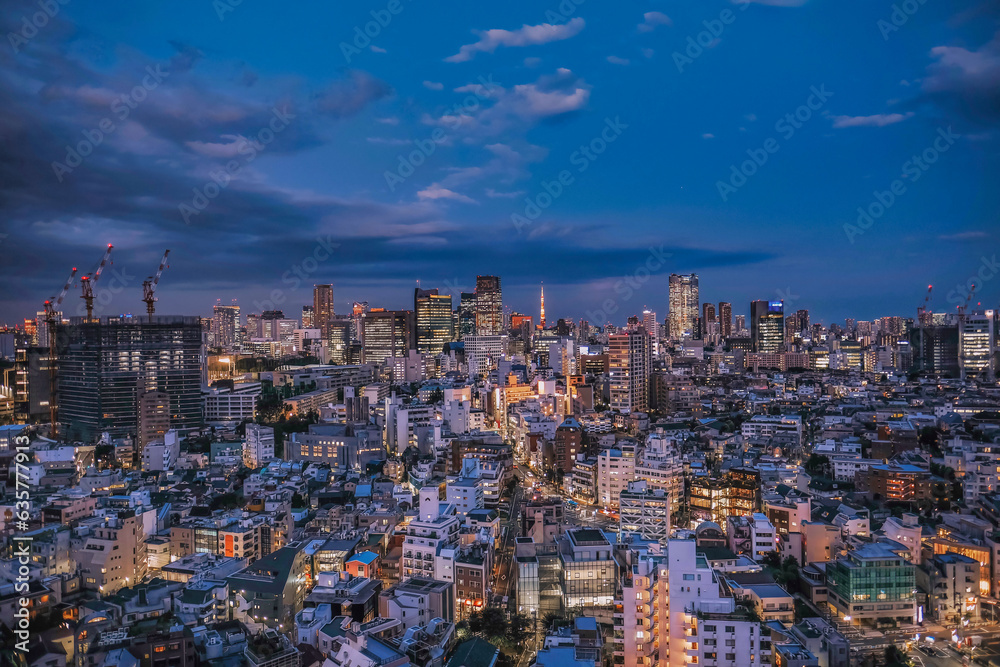 Obraz premium tokyo night