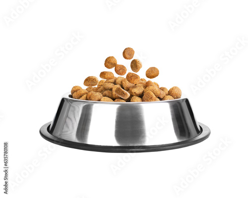 Dry food for dogs and cats in an iron bowl on a white background 