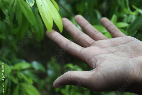 hands holding a plant © Saniru