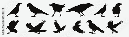Enigmatic Elegance in Flight  Intricate Silhouettes of Crow Birds  Captured in Detailed Vector Art