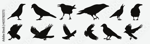 Enigmatic Elegance in Flight, Intricate Silhouettes of Crow Birds, Captured in Detailed Vector Art