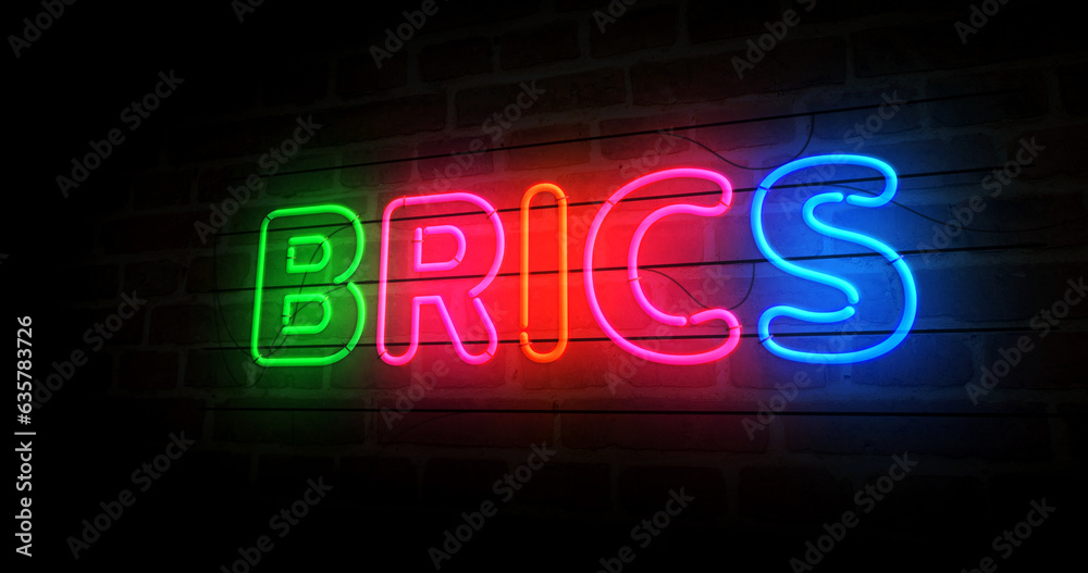 Obraz premium BRICS organization neon light 3d illustration
