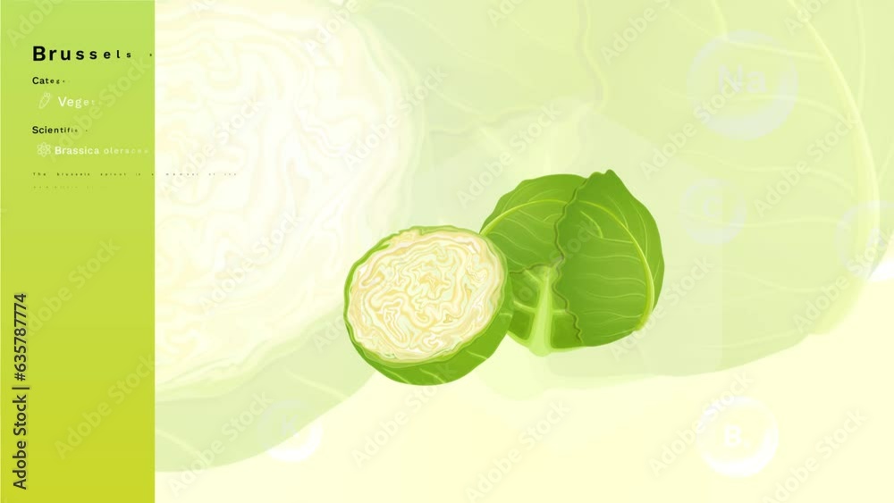 Brussels Sprouts and its Nutritional Properties with Minerals and