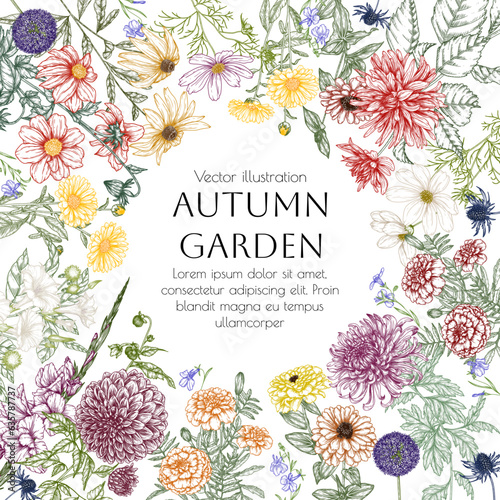 Vector frame autumn garden. Dahlia, cosmos, zinnia, marigold, calendula, rudbeckia, gladiolus, datura, eryngium, allium, chrysanthemum, lobelia in engraving style