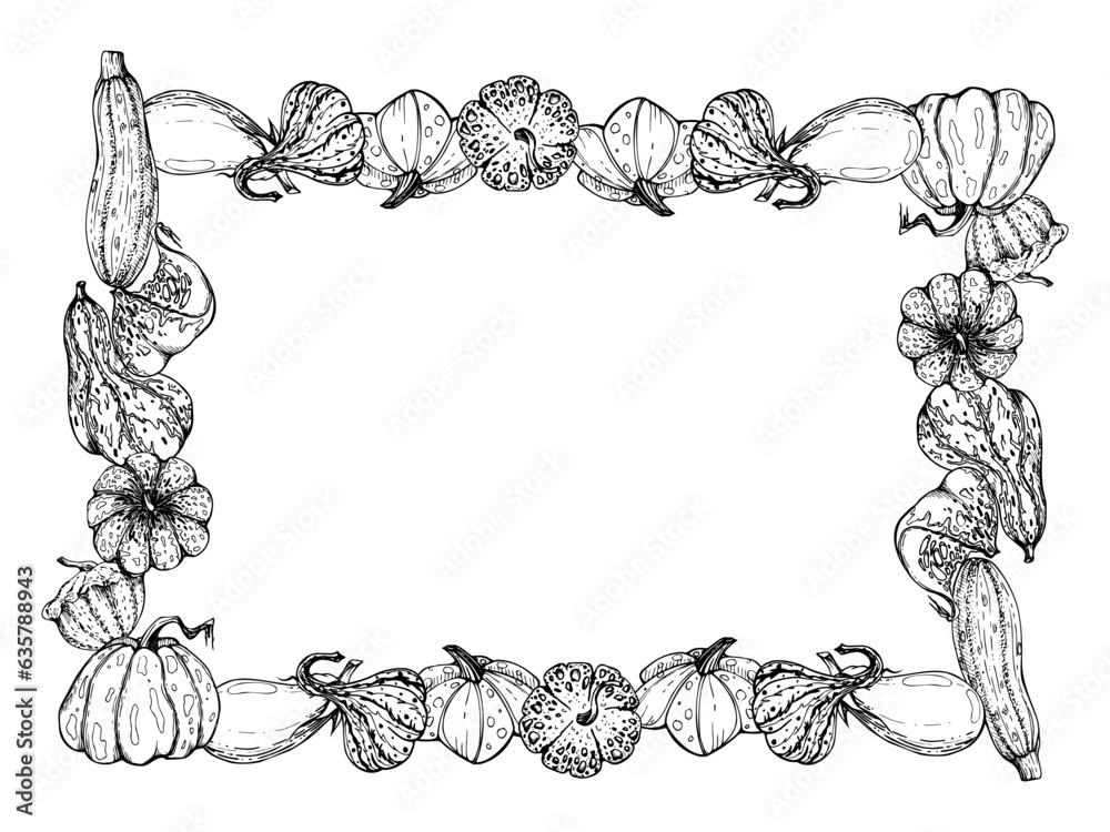 Hand drawn ink vector pumpkin gourd squash. Sketch illustration art for Thanksgiving, Halloween, harvest, farming. Square frame, outline. Design for restaurant menu print, cafe, website, invitation Hand drawn ink vector pumpkin gourd squash. Sketch illustration art for Thanksgiving, Halloween, harvest, farming. Square frame, outline. Design for restaurant menu print, cafe, website, invitation