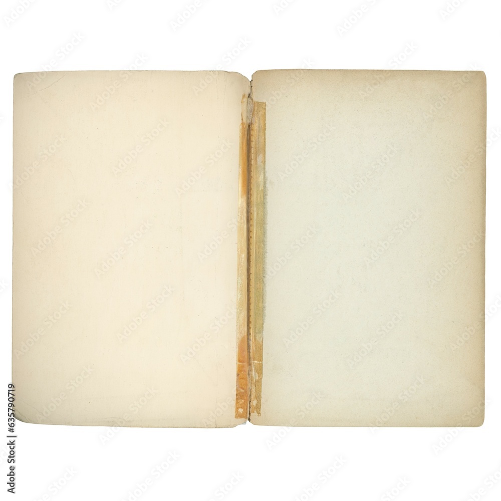 double page blank book isolated over white